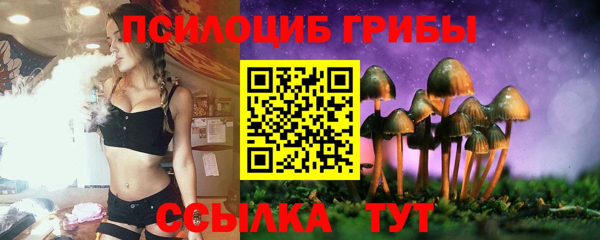 Галлюциногенные грибы Psilocybe Коркино