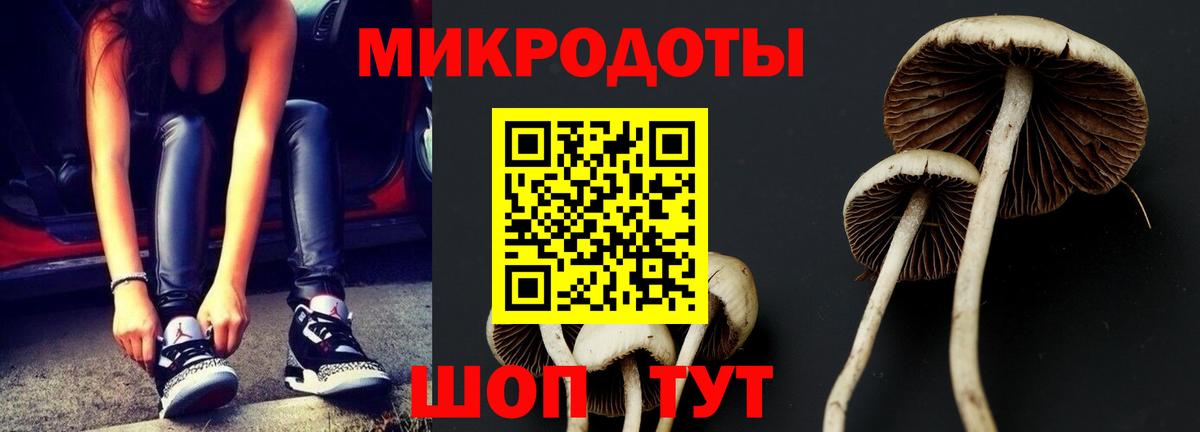 Галлюциногенные грибы Cubensis  Вход с VPN  Галлюциногенные грибы Psilocybine cubensis  Коркино 